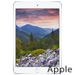 Ремонт Apple iPad mini 2 в Оренбурге