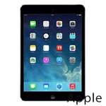 Ремонт iPad mini в Оренбурге