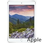 Ремонт Apple iPad mini 3 в Оренбурге