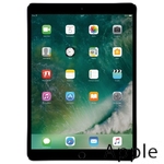 Ремонт Apple iPad Pro 10.5 в Оренбурге