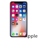 Ремонт iPhone X(10) в Оренбурге